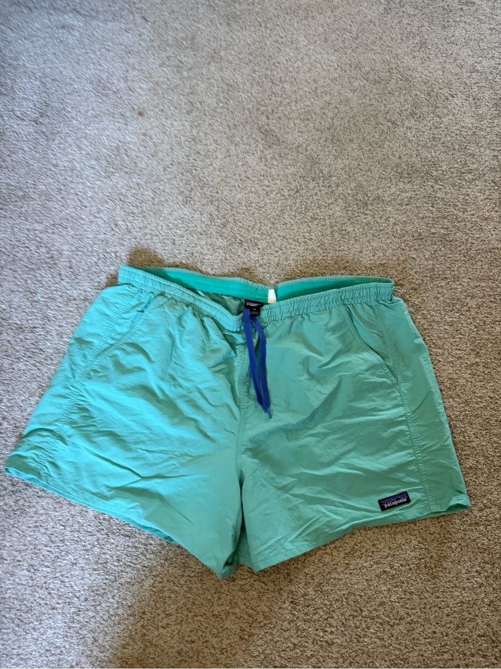 Patagonia Womens Teal Shorts XL